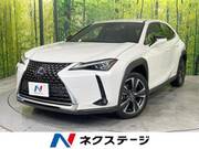 2020 LEXUS UX