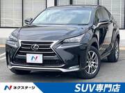 2016 LEXUS NX