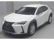 2021 LEXUS UX