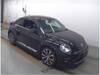 VOLKSWAGEN THE BEETLE