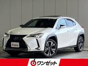 2022 LEXUS UX
