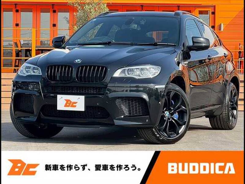 -X6 M