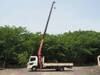 HINO POWDER CEMENT TRUCK