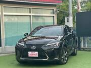 2020 LEXUS UX