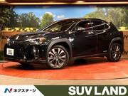 2020 LEXUS UX