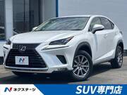 2019 LEXUS NX