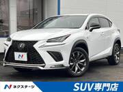 2018 LEXUS NX