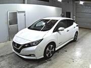 2020 NISSAN LEAF G