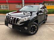 2017 TOYOTA LAND CRUISER PRADO TX