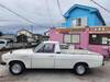 NISSAN SUNNY TRUCK