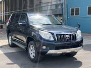 2010 TOYOTA LAND CRUISER PRADO TX