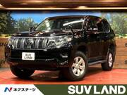 2019 TOYOTA LAND CRUISER PRADO TX