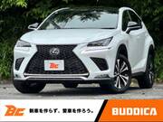 2019 LEXUS NX