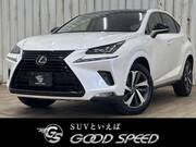 2019 LEXUS NX