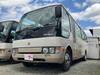 FUSO ROSA