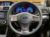 SUBARU OTHER