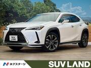 2019 LEXUS UX
