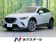 2019 MAZDA CX-3