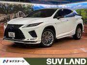 2019 LEXUS RX