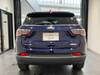 CHRYSLER JEEP COMPASS