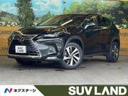 2019 LEXUS NX