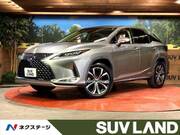 2019 LEXUS RX
