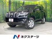 2019 TOYOTA LAND CRUISER PRADO TX