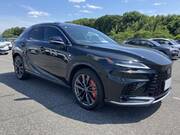 2024 LEXUS RX