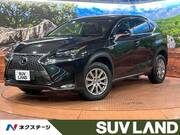 2016 LEXUS NX