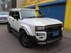 TOYOTA LANDCRUISER 250