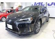 2021 LEXUS UX