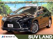 2020 LEXUS RX
