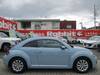 VOLKSWAGEN THE BEETLE