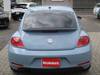 VOLKSWAGEN THE BEETLE