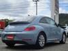 VOLKSWAGEN THE BEETLE