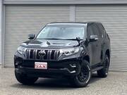 2019 TOYOTA LAND CRUISER PRADO TX