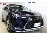 2019 LEXUS RX