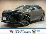 2023 LEXUS RX