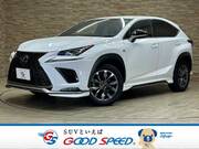 2018 LEXUS NX