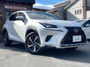 2019 LEXUS NX