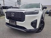 2025 HONDA OTHER