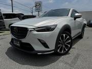 2019 MAZDA CX-3