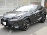 2020 LEXUS NX