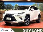 2021 LEXUS NX