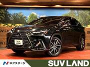 2023 LEXUS NX