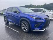 2020 LEXUS NX