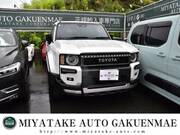 2024 TOYOTA LANDCRUISER 250