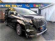 2017 TOYOTA ALPHARD G