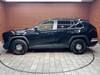 MITSUOKA OTHER