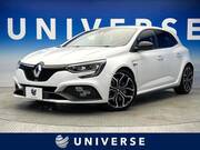 2019 RENAULT MEGANE